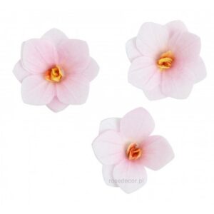 Vahvlilill Hortensia heleroosa 6tk