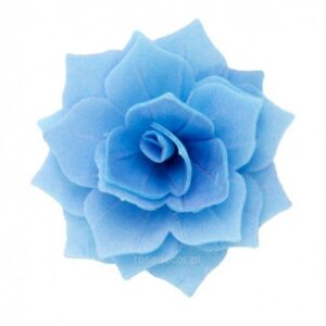 Vahvlilill Rosalia sinine 5tk