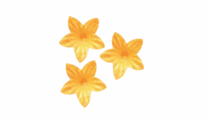 Vahvlililled mini kuldse varjundiga 50tk