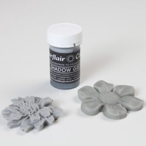 Varjuhall (Sadow grey) toiduvärv pastana 25g